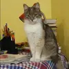 Отзыв от Альбина Щукина